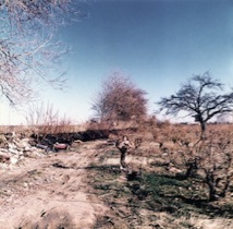 1980_Zuid_Frankrijk_Perpignan_Vuilnis-langs-de-wegt