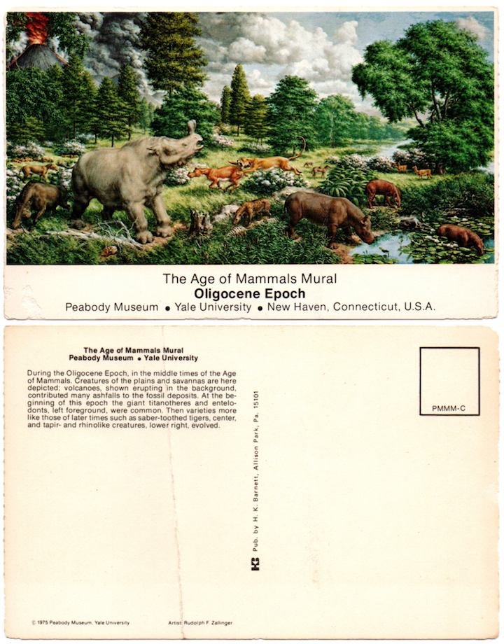 1975.Peabody Museum - The Age of Mammals Mural - Oligocene Epoch