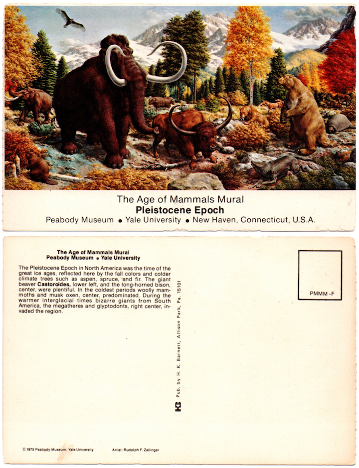 1975.Peabody Museum - The Age of Mammals Mural - Pleistocene Epoch